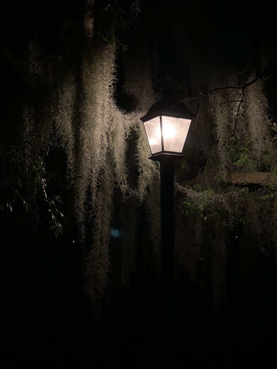 CapeCodDuke's tweet image. #apriltexturechallenge