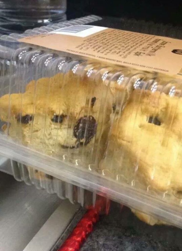 Aestheth's tweet photo. Is that you @dogecoin ?
#viraltweet https://t.co/mm9L9KQDQl
