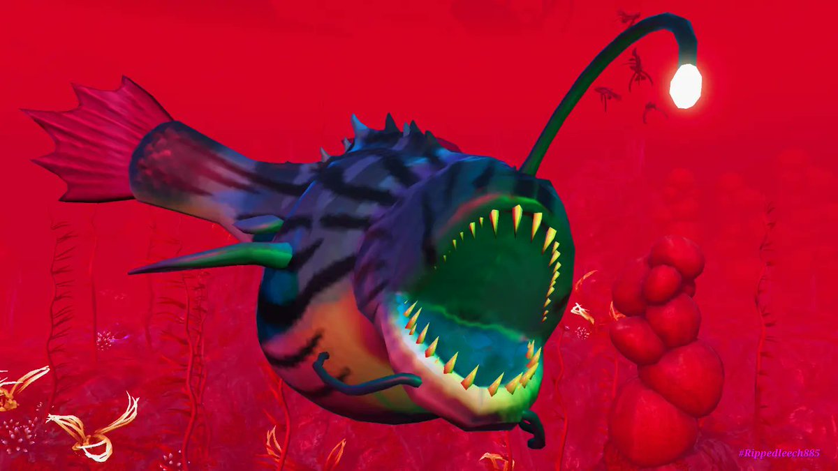Rippedleech885's tweet photo. No Man's Sky - Playing with an Abyssal Angler Fish in Multiplayer 
@NoMansSky @NMSCord @NoMansSkyPix @NoMansSkyGame https://t.co/vknSY87pz9