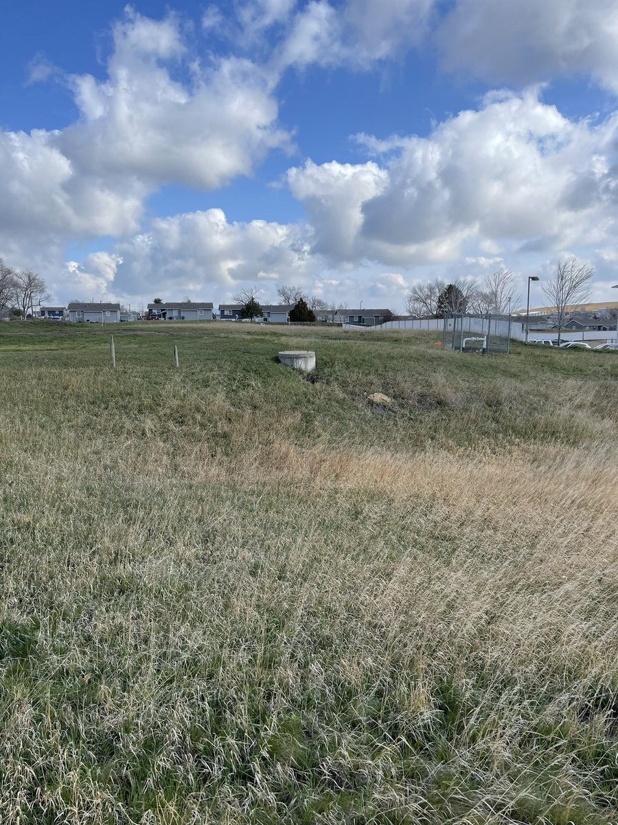henrydryden88's tweet photo. Spring cleanup @HardrockerFB https://t.co/xRvTYeOAjt