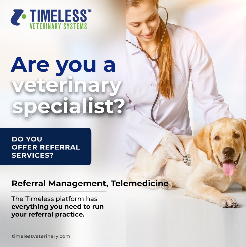 Timeless Veterinary tweet media