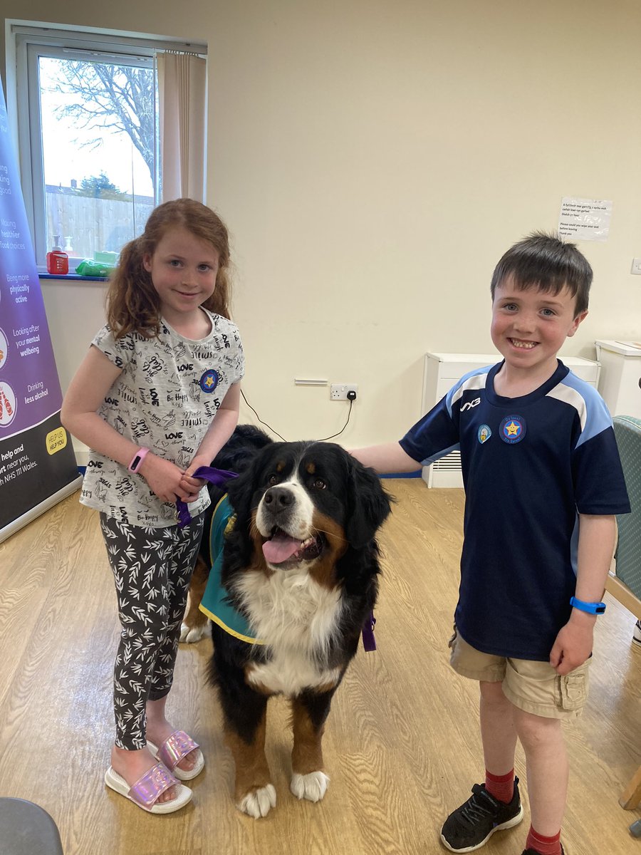 Pigiad cynta wedi neud. Diolch #hyweldda am y cî therapi, syniad fantasic. #therapydog