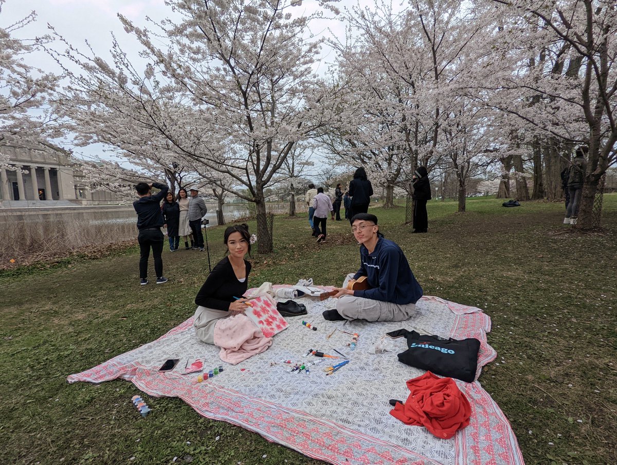 ChicagoParks's tweet photo. Jackson Park's Cherry Trees are in FULL BLOOM 🌸! Celebrate Spring "Hanami" w/ @ChicagoParks by visiting the 160 pink &amp; white cherry trees, near @msichicago. Enjoy a free, self-guided audio tour at https://t.co/RKiCZLtMaB. 👉 https://t.co/5VAuNdkSRr 
Share 📸 #CHICherryBlossoms https://t.co/4Ad6fDuIpG