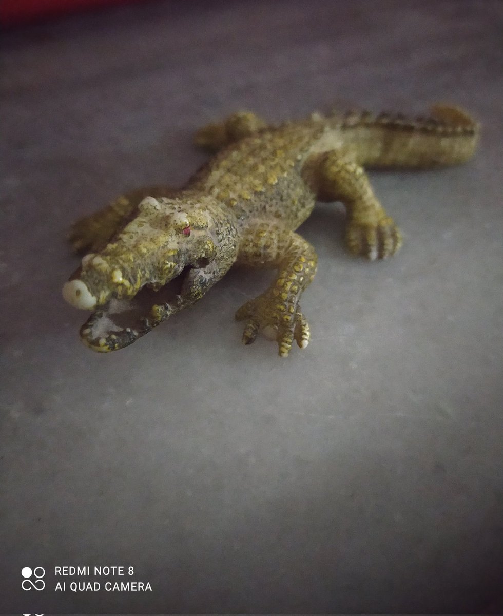 flaşla girdiğim mutfakta bununla karşılaştım Allah'ıma kavuşuyodum az daha... yeğenler kapatılsın lütfen