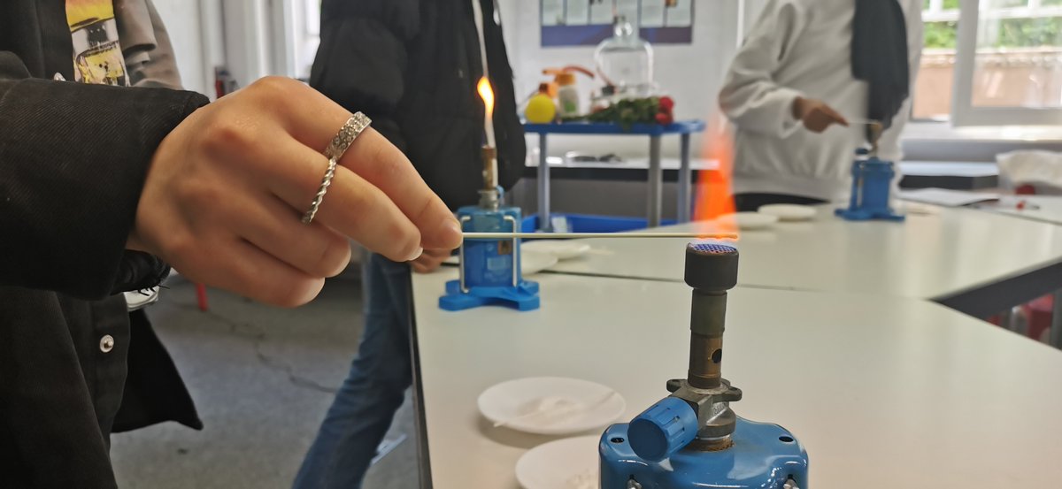 Am Donnerstag war bei uns Girl´s Day

Eines der vielen Highlights in unserem Spezial-Workshop waren die Experimente mit flüssigem Stickstoff, aber auch die Experimente zur Flammenfärbung sorgten für einiges Staunen

Alles in allem, also ein voller Erfolg