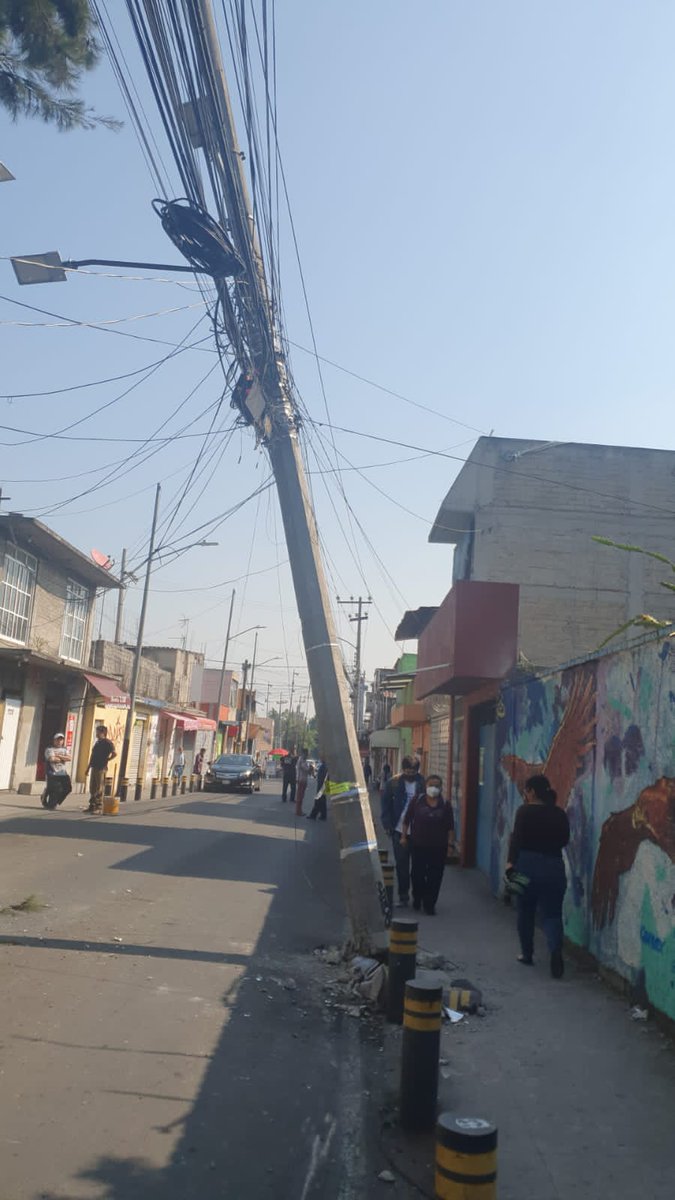 Rosa Miranda tweet media