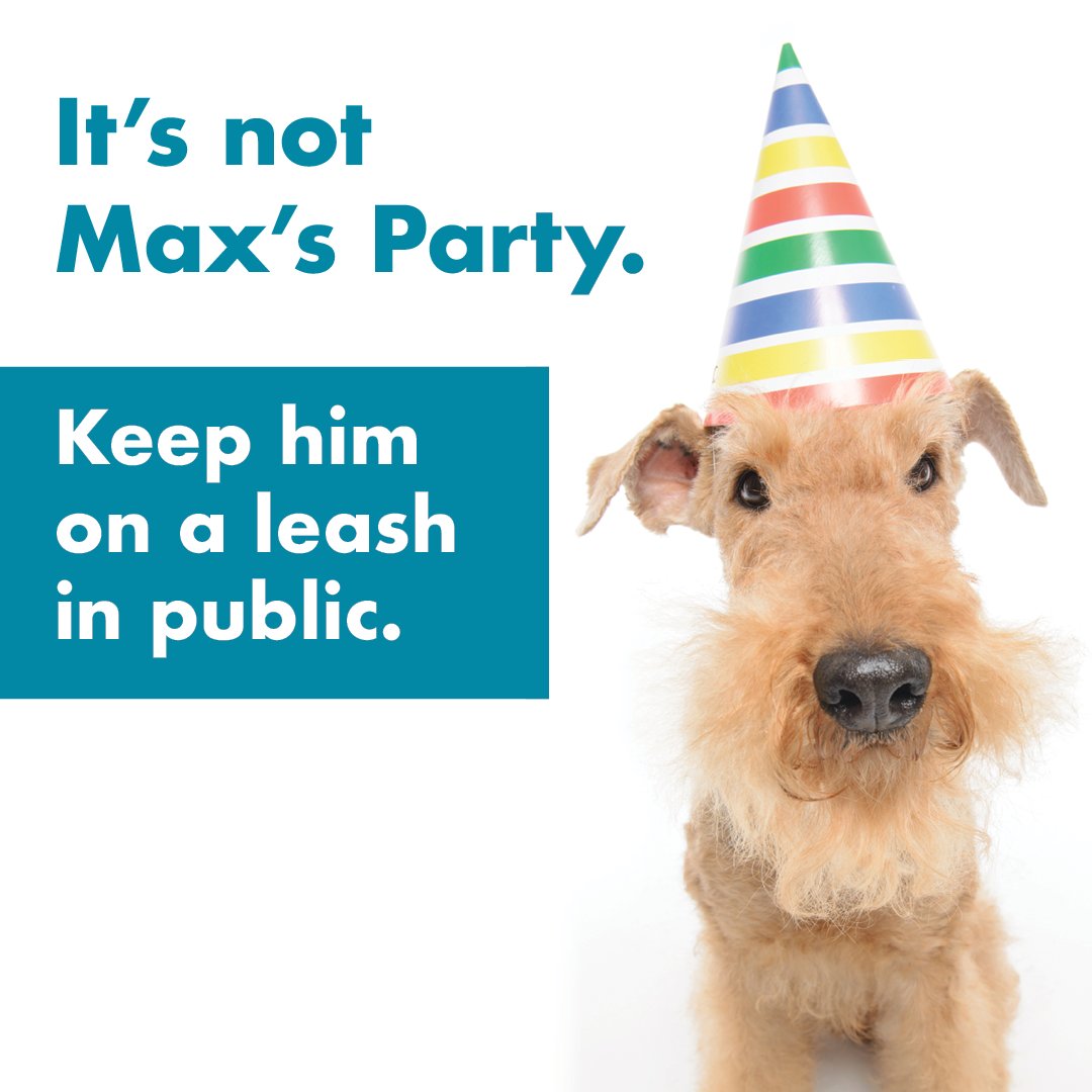 Toronto parks are shared spaces for all to enjoy. For everyone’s safety and enjoyment, remember to keep your dog on a leash unless in designated off-leash areas. More tips for dog owners at: https:toronto.ca/dogsinthecity
