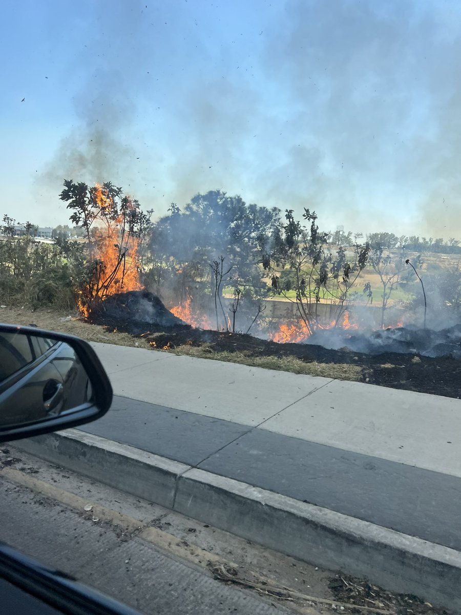 Gente tarada  que no entiende el daño que le estamos haciendo a nuestro ecosistema que impotencia !!!! Enfrente del real San José, hablo a 911 y nadie responde  <a href="/bomberosgdl/">Atención a Emergencias Bomberos Guadalajara</a> <a href="/EnriqueAlfaroR/">Enrique Alfaro</a> <a href="/Trafico_ZMG/">TráficoZMGuadalajara</a>