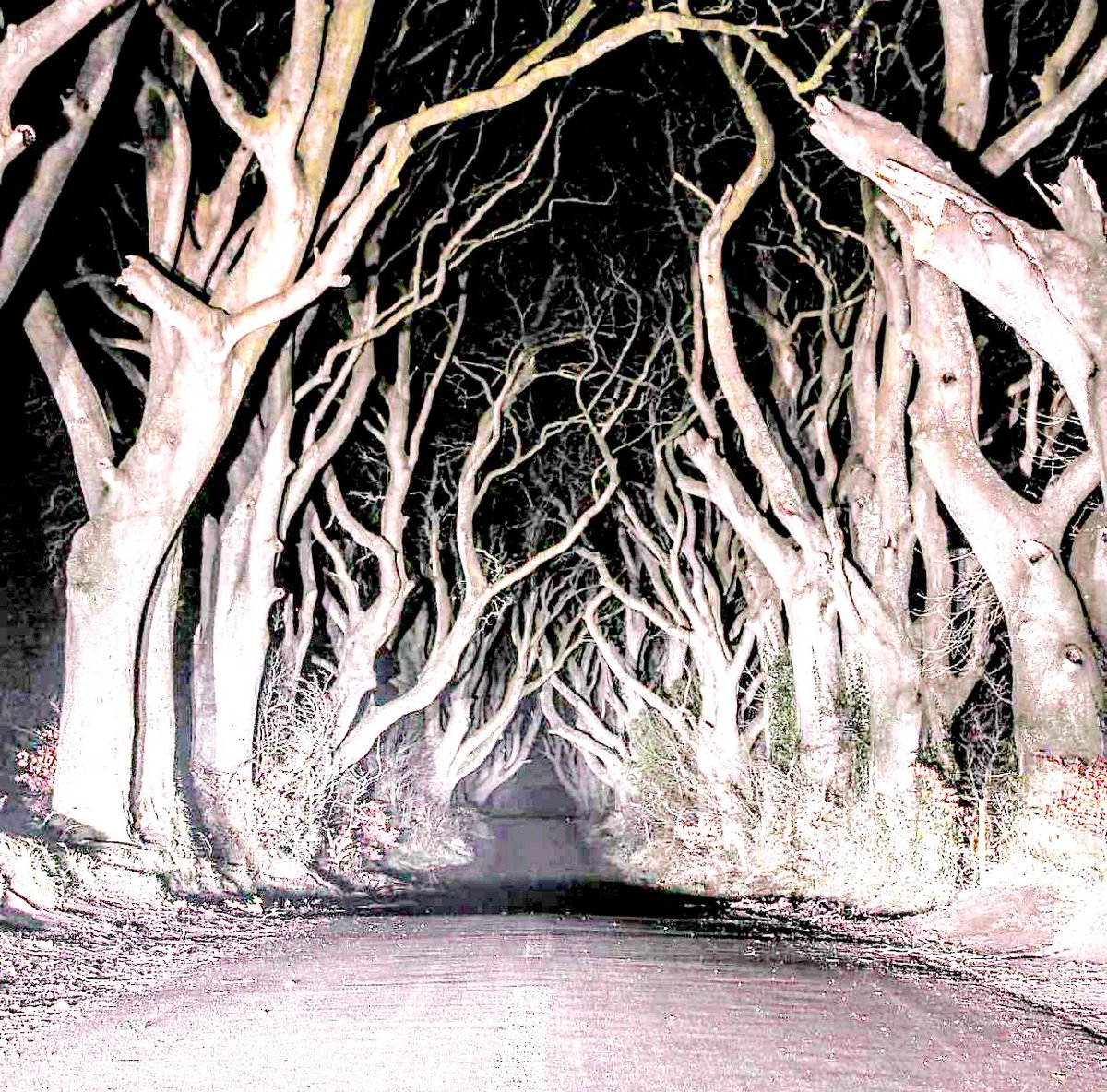 ada yang lihat, gak? Buat yang tahu-tahu aja.