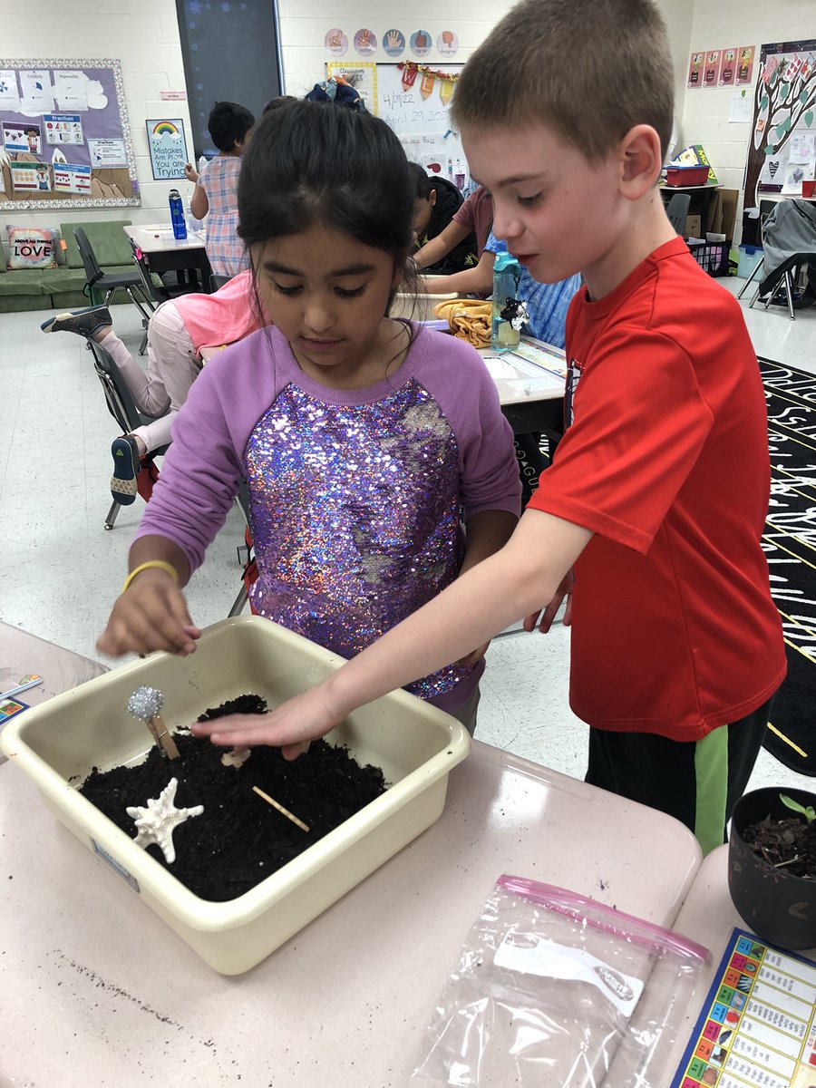 Experimenting to discover how plants can help prevent wind erosion 🧐🌱