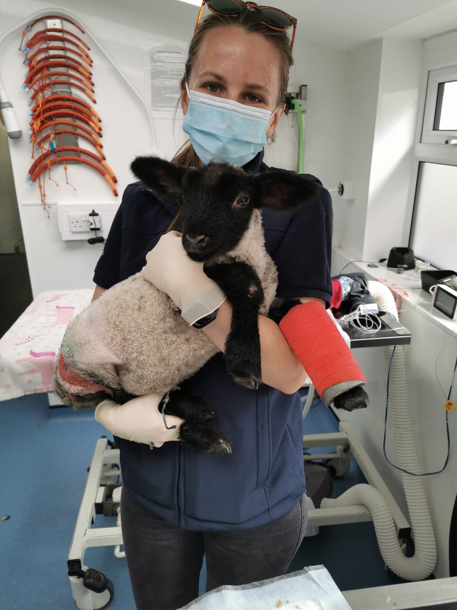 izzyf97's tweet photo. Happy World Veterinary Day to the profession that I'm so proud to be a part of. Particularly, #TeamFarm that support British Farming for healthier and more sustainable livestock production.
#WorldVeterinaryDay #WorldVeterinaryDay2022 #TeamVet #FarmVet #NOMV https://t.co/cPwRWRtVTa