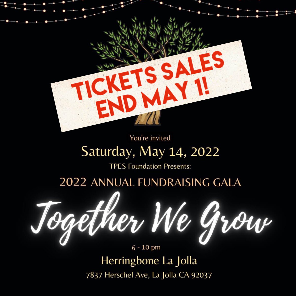 tpesfoundation's tweet photo. Join other TPES families, friends, teachers, and staff for a  MEMORABLE night of FUNdraising at @herringboneeats to support our school’s programs. 💛 Tickets @ https://t.co/aYZWlu3zMp 🥂 https://t.co/tNgfnQNCh7