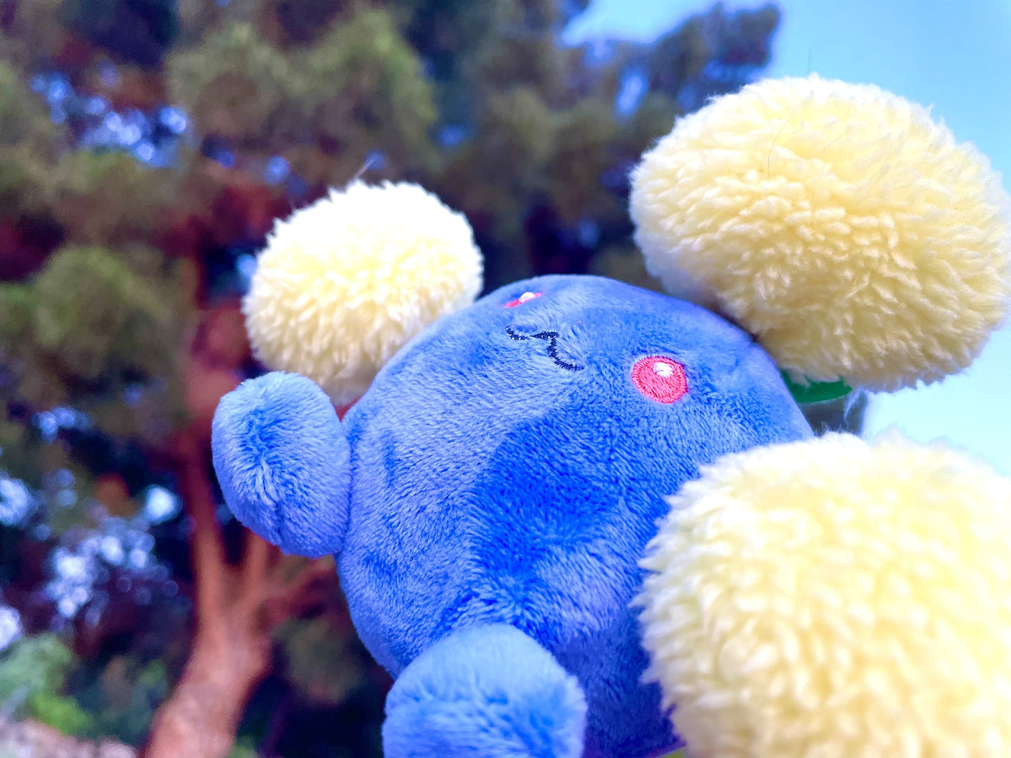 #PokémonCollector - Twitter Search / Twitter