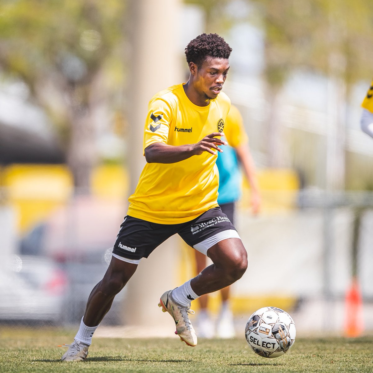 ❱❱ On the move ❱❱

#CB93 | @hummelUSA