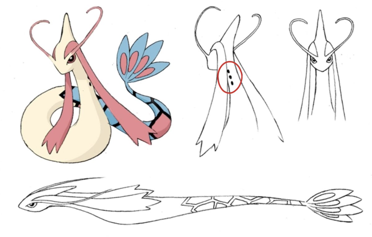 arvalis's tweet image. Milotic has very unique gills which appears to be based on a lamprey. What if Milotic has a secret monster mouth?