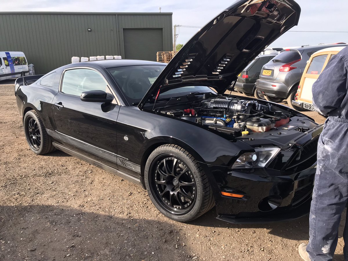 DBrestorations's tweet photo. Help !! Been overrun by fords #classic #paintjobs #mustang https://t.co/P0M1wnTGc0
