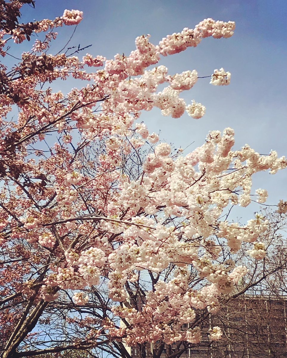 Melinda Scott tweet media