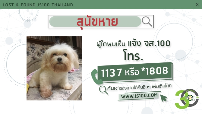 js100radio's tweet photo. สุนัขหายจากหมู่บ้านบุศรินทร์ ถ.พุทธมณฑลสาย4 อ.สามพราน จ.นครปฐม ผู้ใดพบเห็นแจ้ง JS100 โทร *1808 หรือ 1137
https://t.co/3BaYxQIpM3 https://t.co/lvo4C4mrte