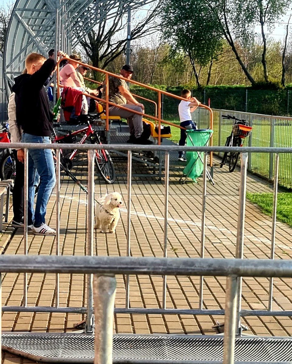 rozebetonuu's tweet image. Dzień meczowy - Kolejka 22 

Ks Preczów - Górnik Piaski 1:9
Cepek 5, Zudin 2, Pieniążek 
Klasa A Sosnowiec - 7 League

Droga do Okręgówki!

#football #groundhopping 
#SupportYourLocalFootballTeam