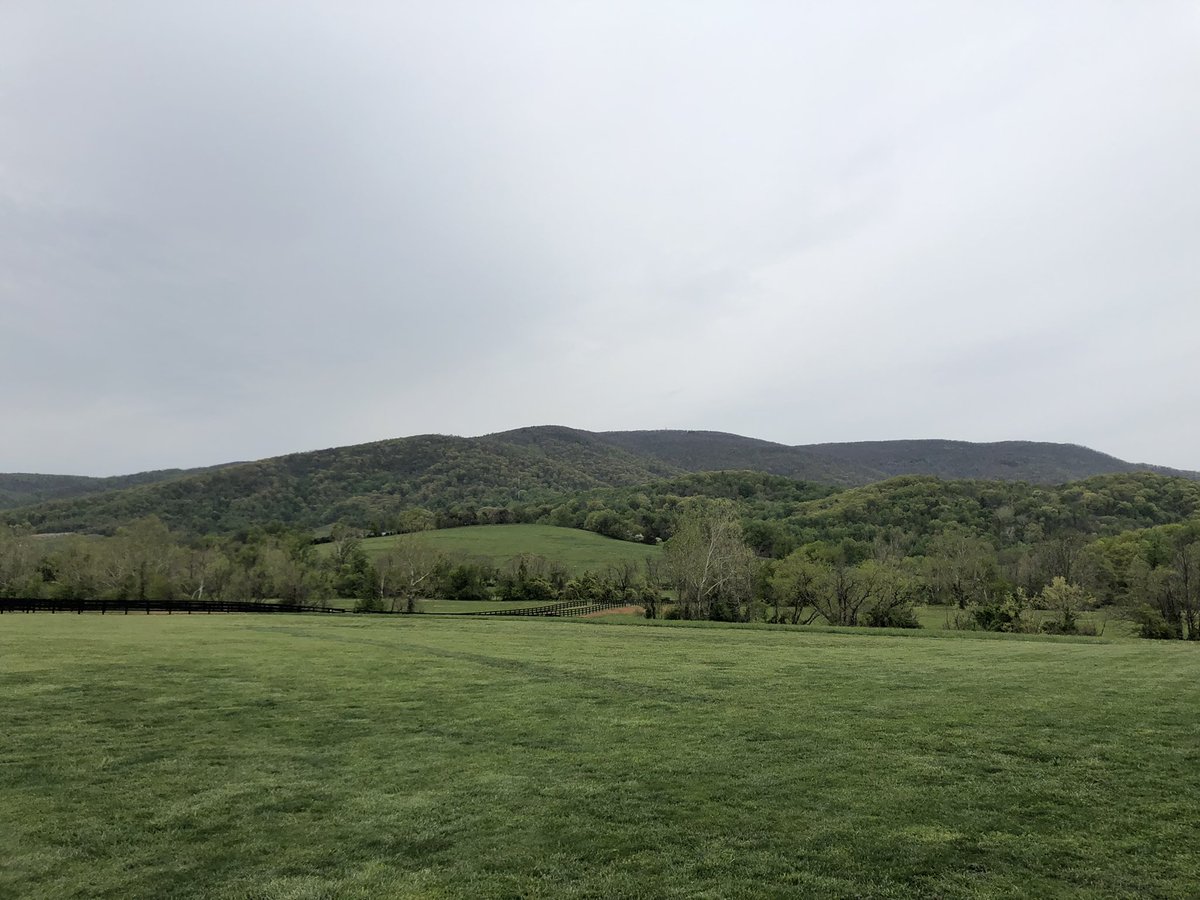 jspollock13's tweet photo. Not a bad Saturday in Cville! https://t.co/GQrDIdUaxC