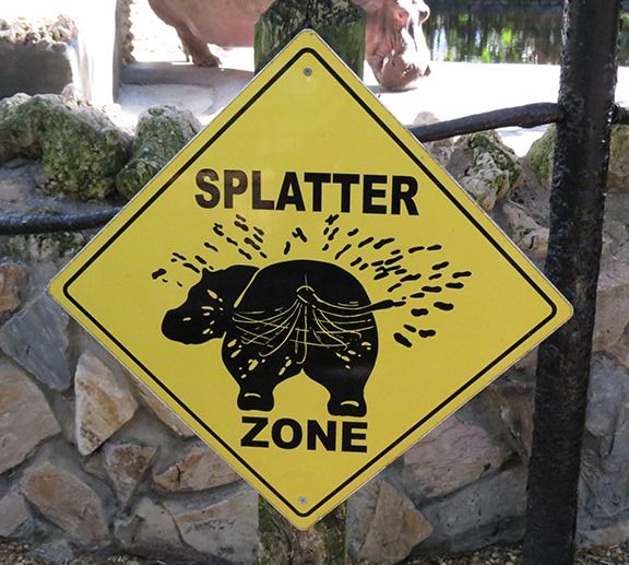 thefivecount's tweet photo. The Five Count is live now on @KmsuMaverick! You can also find us at https://t.co/F5LD8EwxVo and all your favorite podcast apps! Get early access, bonus shows and all our classic episodes on our @Patreon! Thank you so much! #SplatterZone #Radio #Zoo #Popeye #ElonMuskBuysTwitter https://t.co/PQjYHb9pWs
