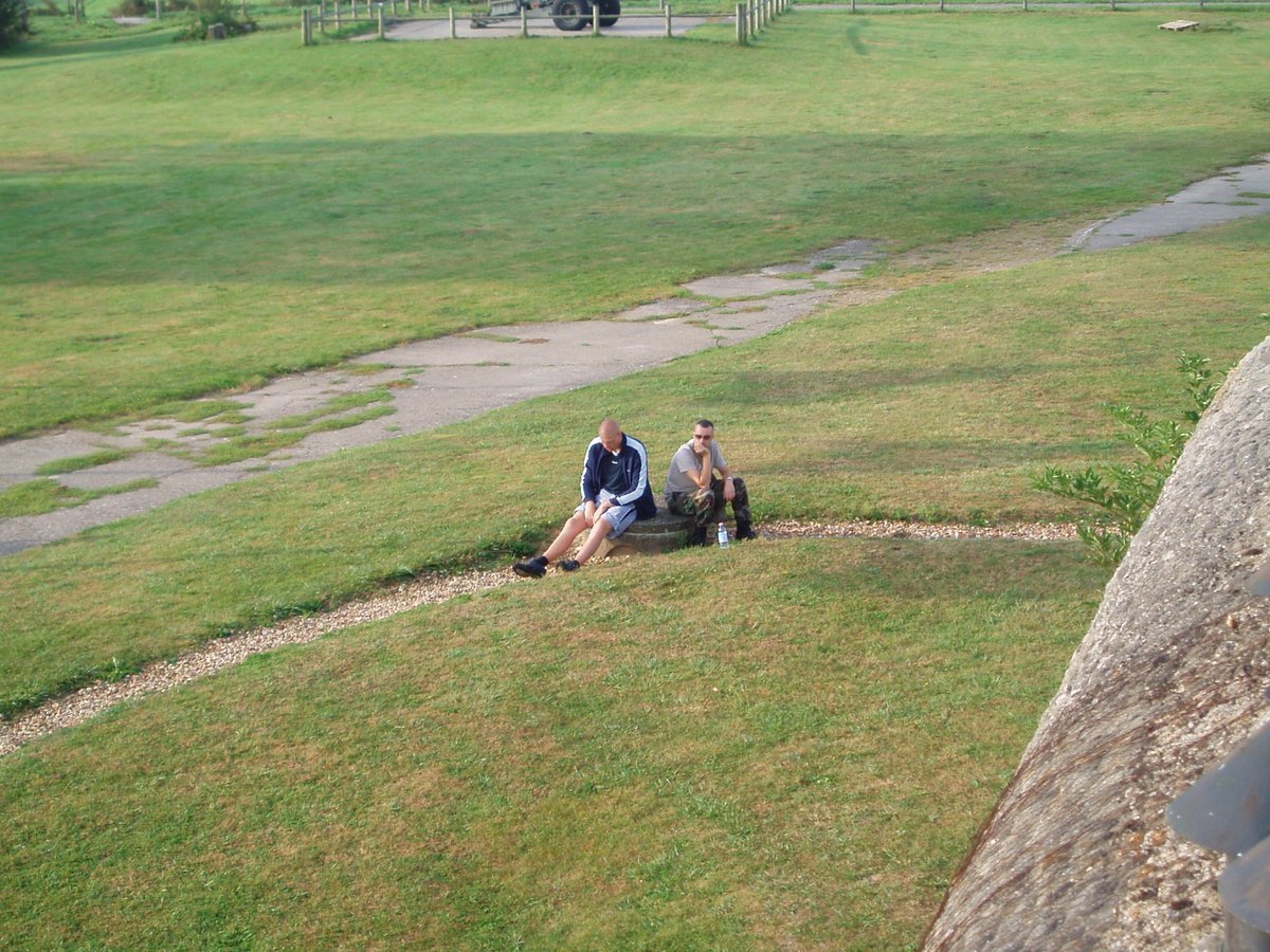 Wayne McDonald tweet media