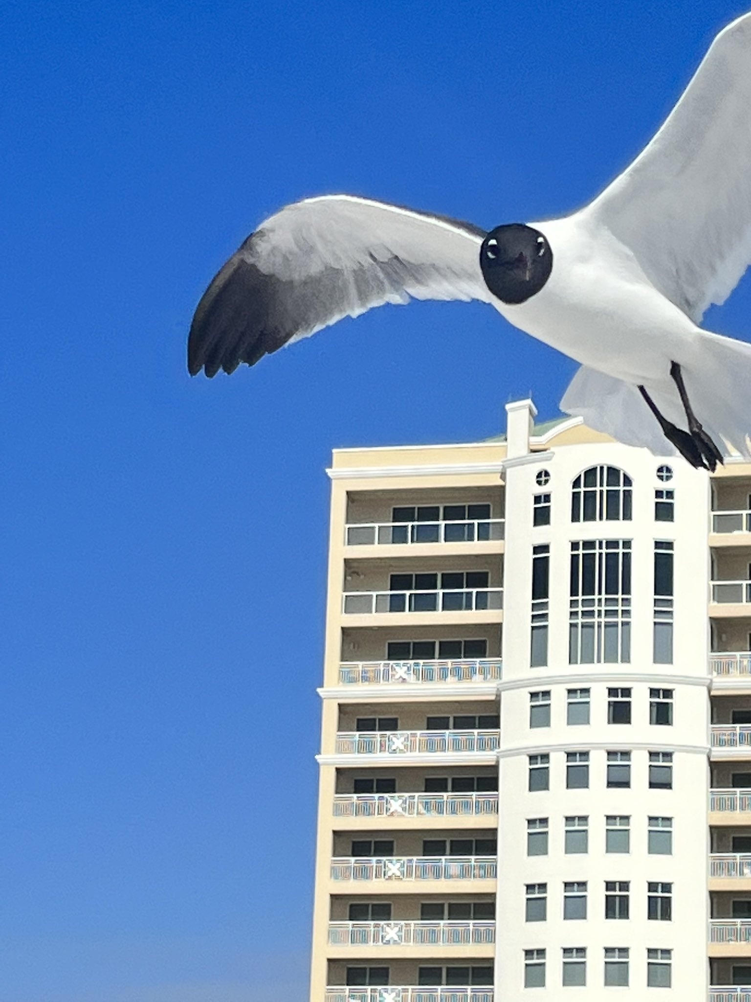 Karen Paniagua (@Indira80K)  X