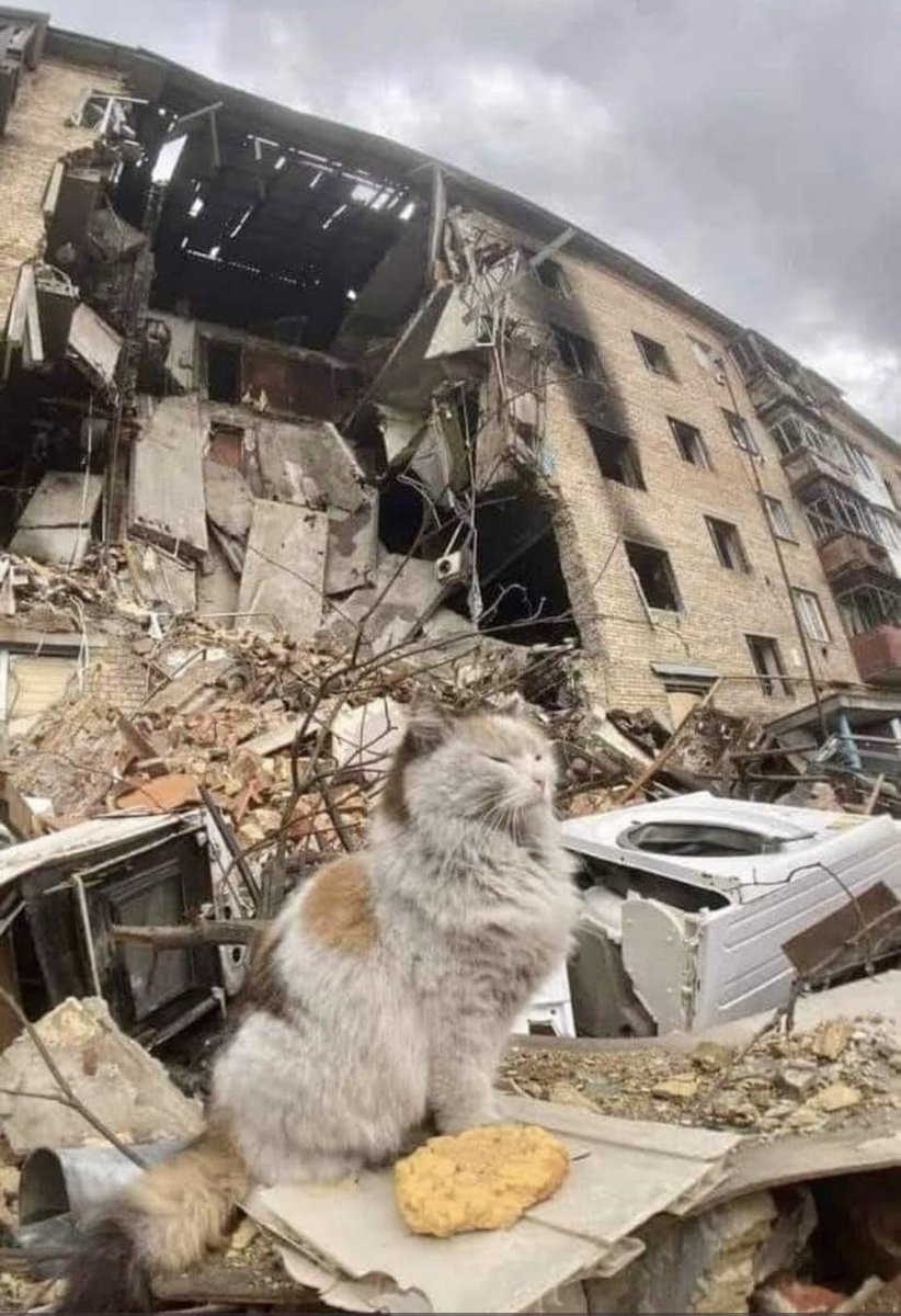 Survived after Russian bombs.