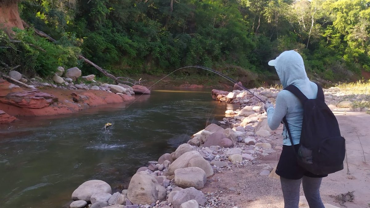 tukulodge's tweet photo. Golden catch in Salta!

Come and experience the spell on the Dorado River!

#premiumflyfishing #premiumdoradofishing  
@YellowDogFish @OrvisFlyFishing  
@roddandgunn  @CaptPeacock  
@DetailCompany 

🏡🎣🇦🇷 @tukulodge https://t.co/ZL06fiMCQZ