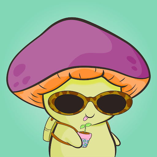 Magic Mushroom Sales Bot tweet media