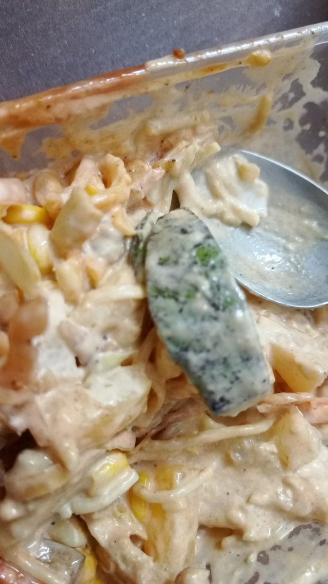 SalmanR23620569's tweet photo. Please refrain from ordering from pizza point. I just received this. They are playing with health #pizzapoint https://t.co/QwoFMZNBik