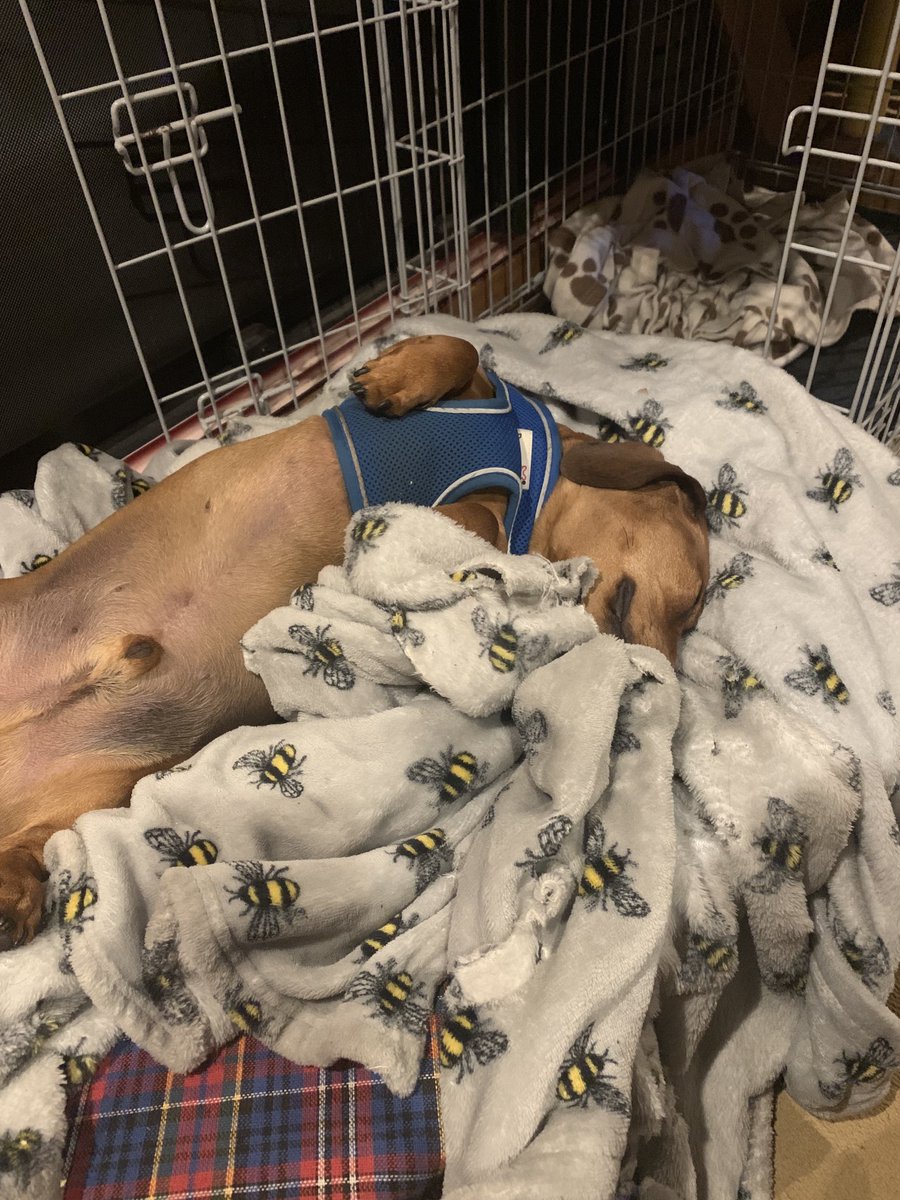 Julie & Bailey tweet media