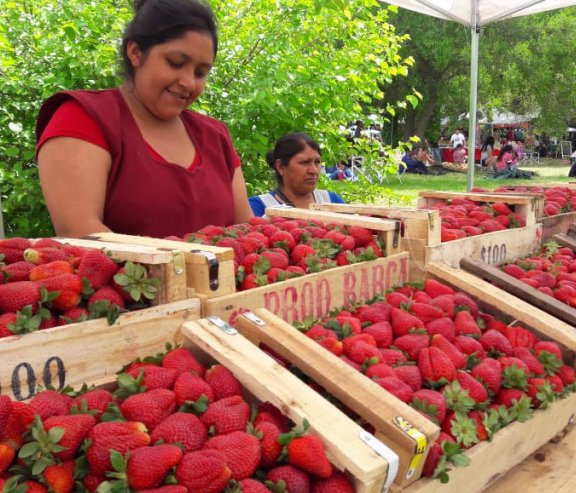 NoticiaBaires's tweet photo. Dos destinos bonaerenses para degustar kiwis y frutillas
https://t.co/6cu6DSBZD9 @PrensaVarela @MadariagaTur @TurismoPBA https://t.co/TOtJGbuMJJ