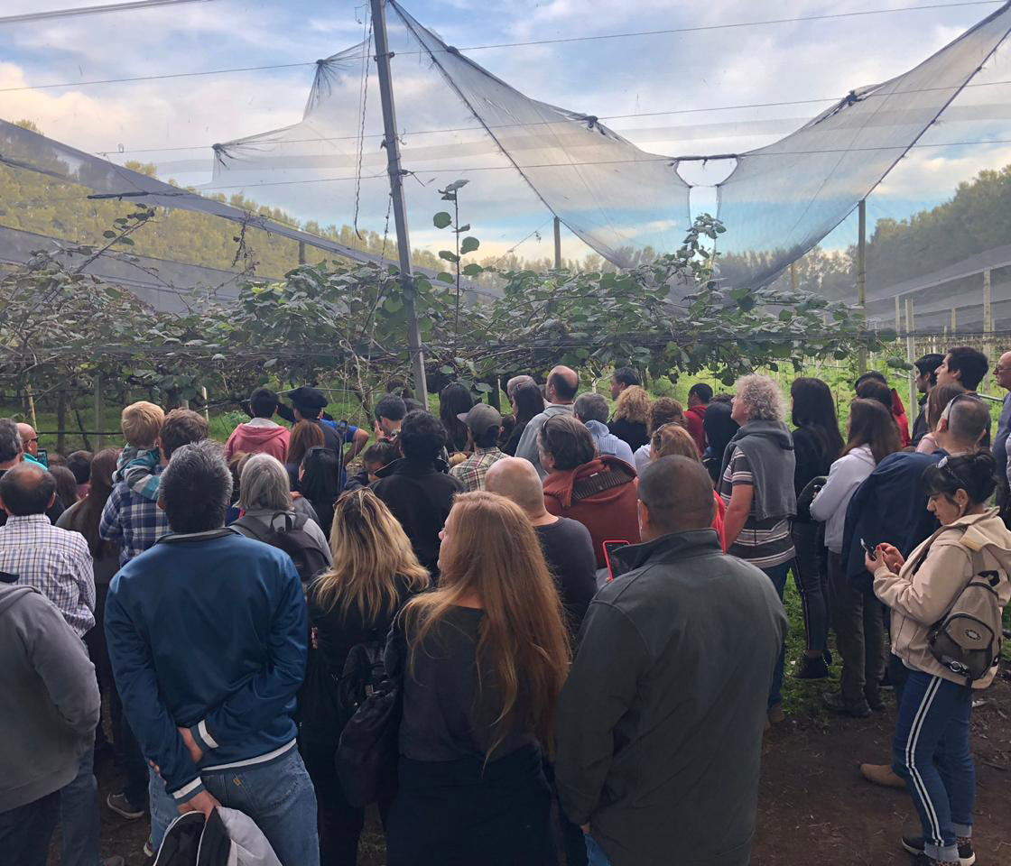 NoticiaBaires's tweet photo. Dos destinos bonaerenses para degustar kiwis y frutillas
https://t.co/6cu6DSBZD9 @PrensaVarela @MadariagaTur @TurismoPBA https://t.co/TOtJGbuMJJ