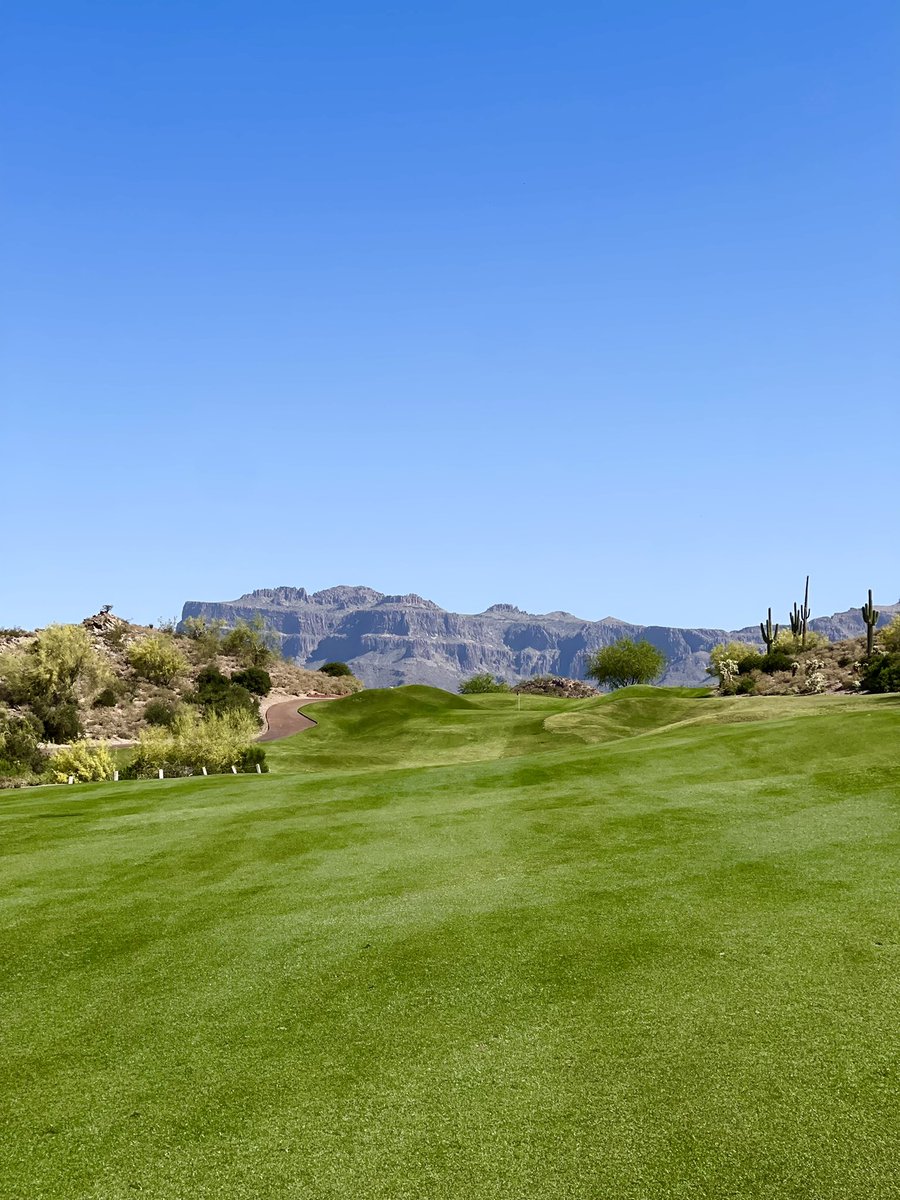 RiggsBarstool's tweet photo. Dino Mountain.
Gold Canyon.
Views. https://t.co/ap4txhWJro