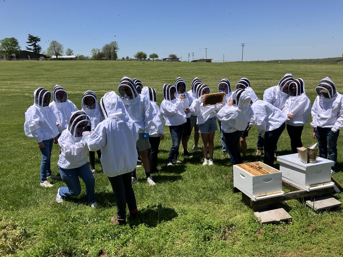 SzalanskiAllen's tweet photo. ENTO 4043 honey bee biology and beekeeping field day was a success @ArkansasEPP @ArkAgResearch @bumperscollege https://t.co/3ADmlkkuqq