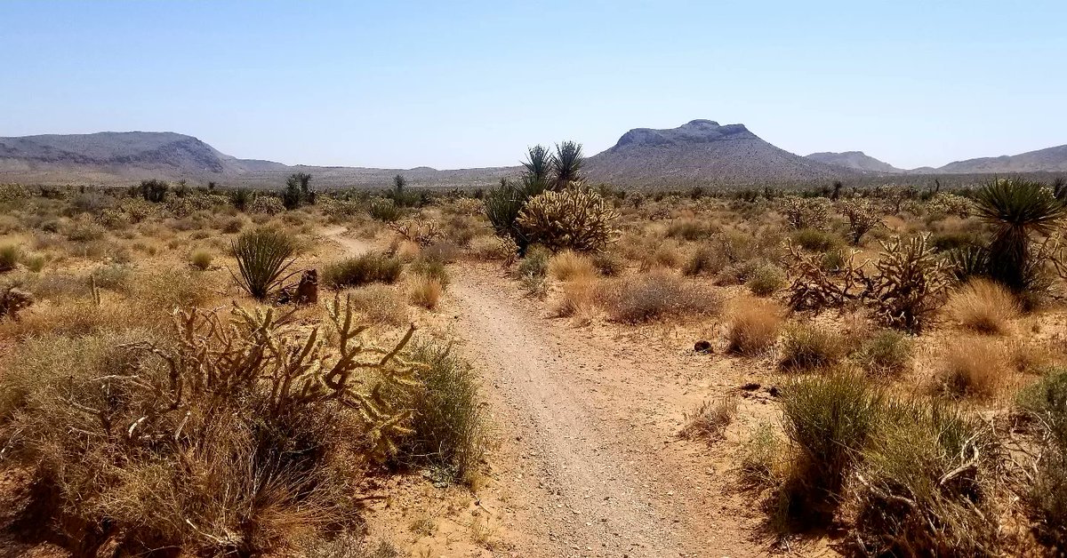 KevinAbsher2's tweet photo. Beautiful day on the trails yesterday! #RunHikeClimb #TrailRunner #ShitRollsDownHill #TrailRunning #RagnarIsComing https://t.co/1xelOwxa2n