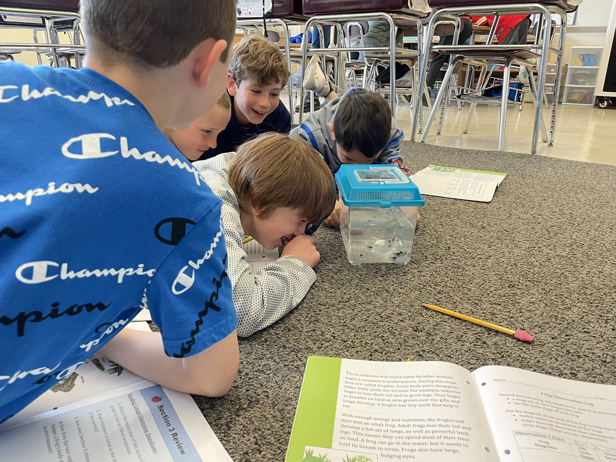 Puppy visit and tadpoles… what a week! <a href="/BarrowsSchool/">Barrows Elementary School</a>