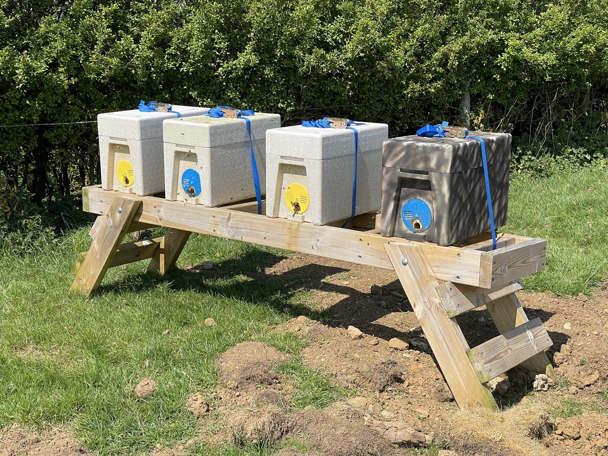 HarboroughHoney's tweet photo. Today we have been making splits up, we have made six today, we will make a further six in the week, two from today were artificial swarms. #beehive #splitbees #swarmcontrol #harborough #bees #polynucs #honeybees https://t.co/FOVH1mIXDv