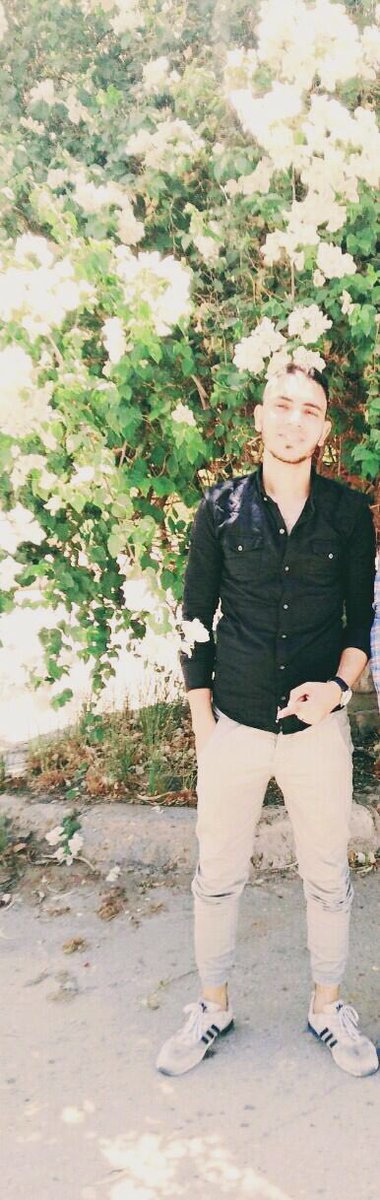Mostafa75029304's tweet photo. https://t.co/vKmxNIjx8L