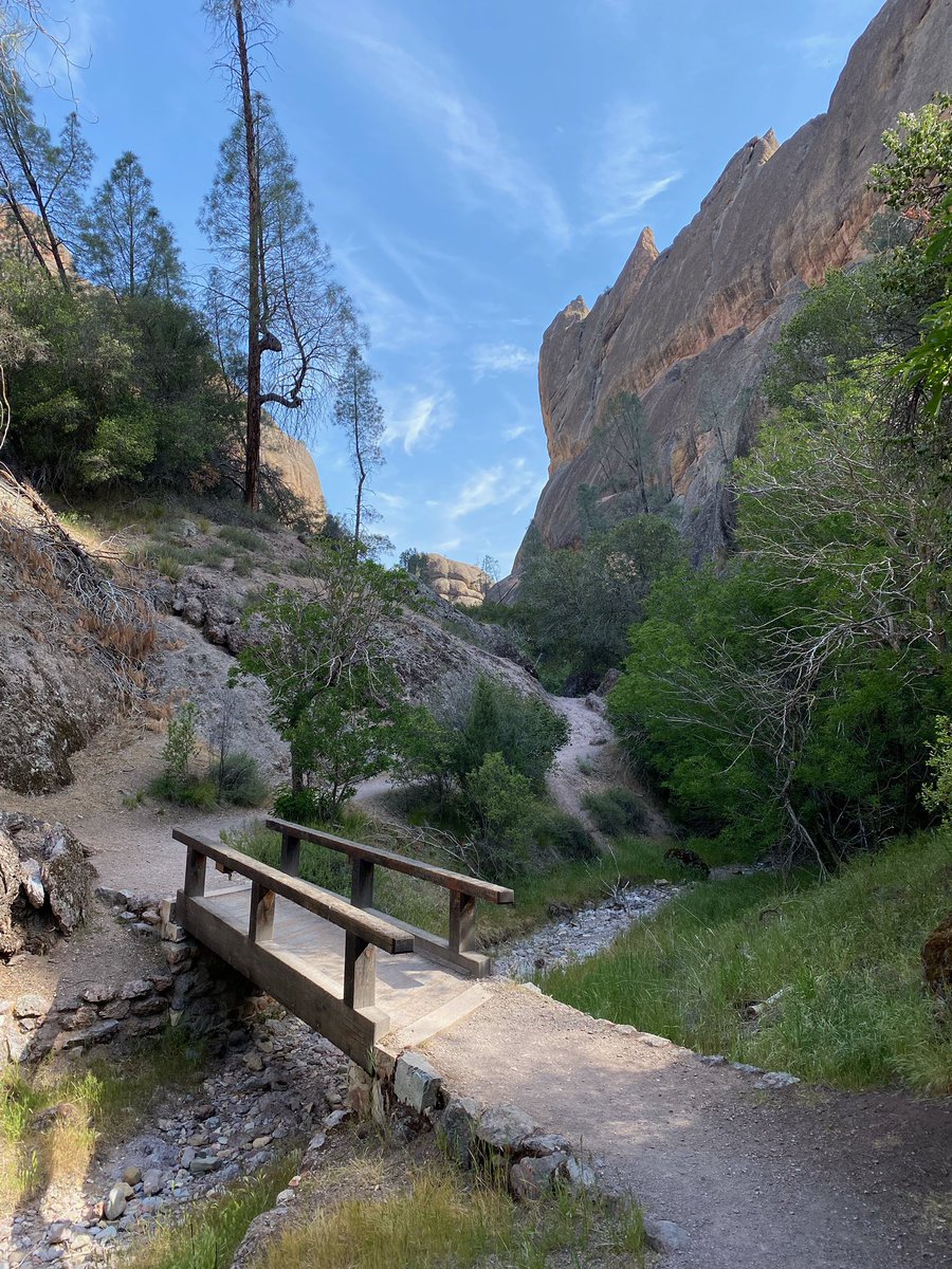 Ray O 'Farrell tweet media