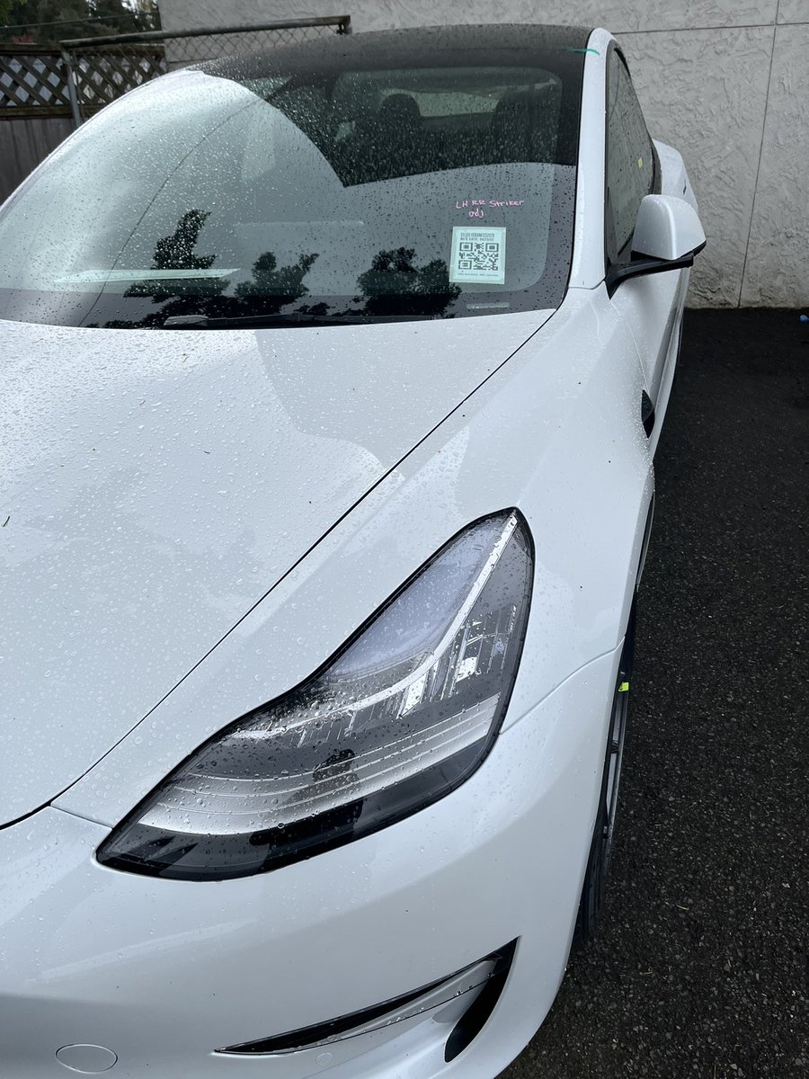 BugNotFoundException tweet media