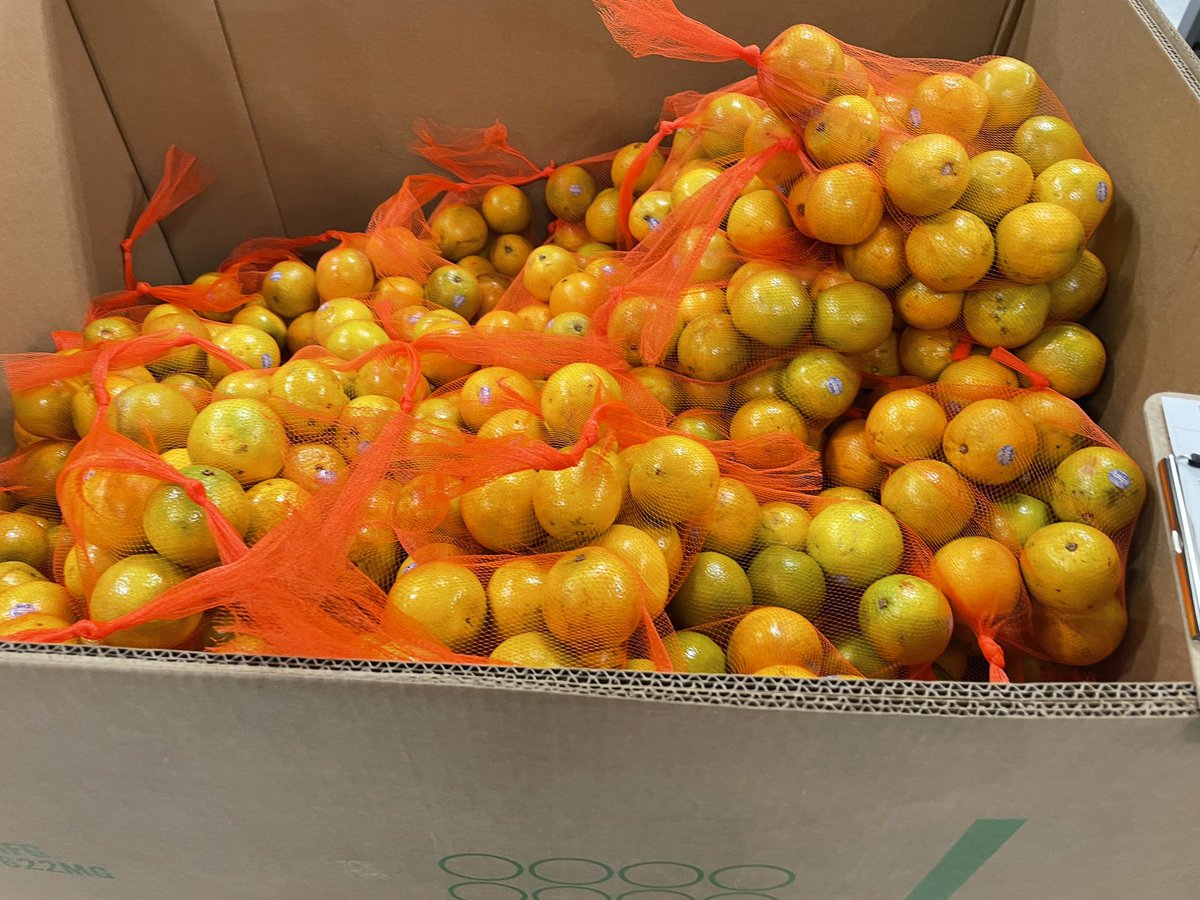 Candice Nemeth tweet media