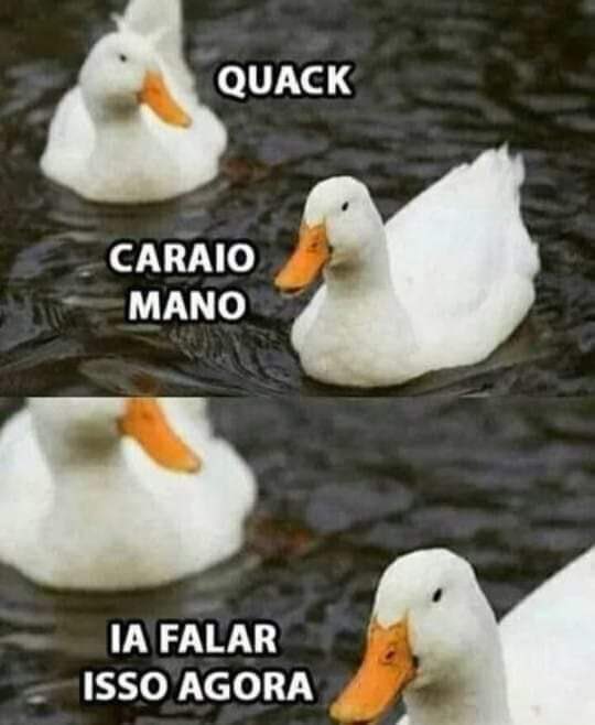 Shitpost só que de verdade tweet media