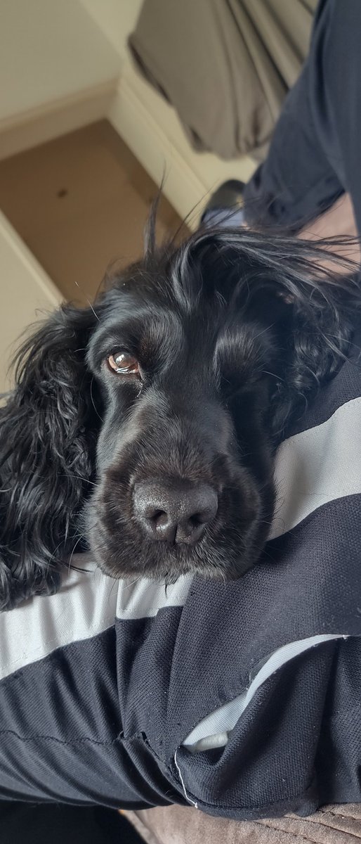 Peanut (@PeanutBerlin) / Posts / X