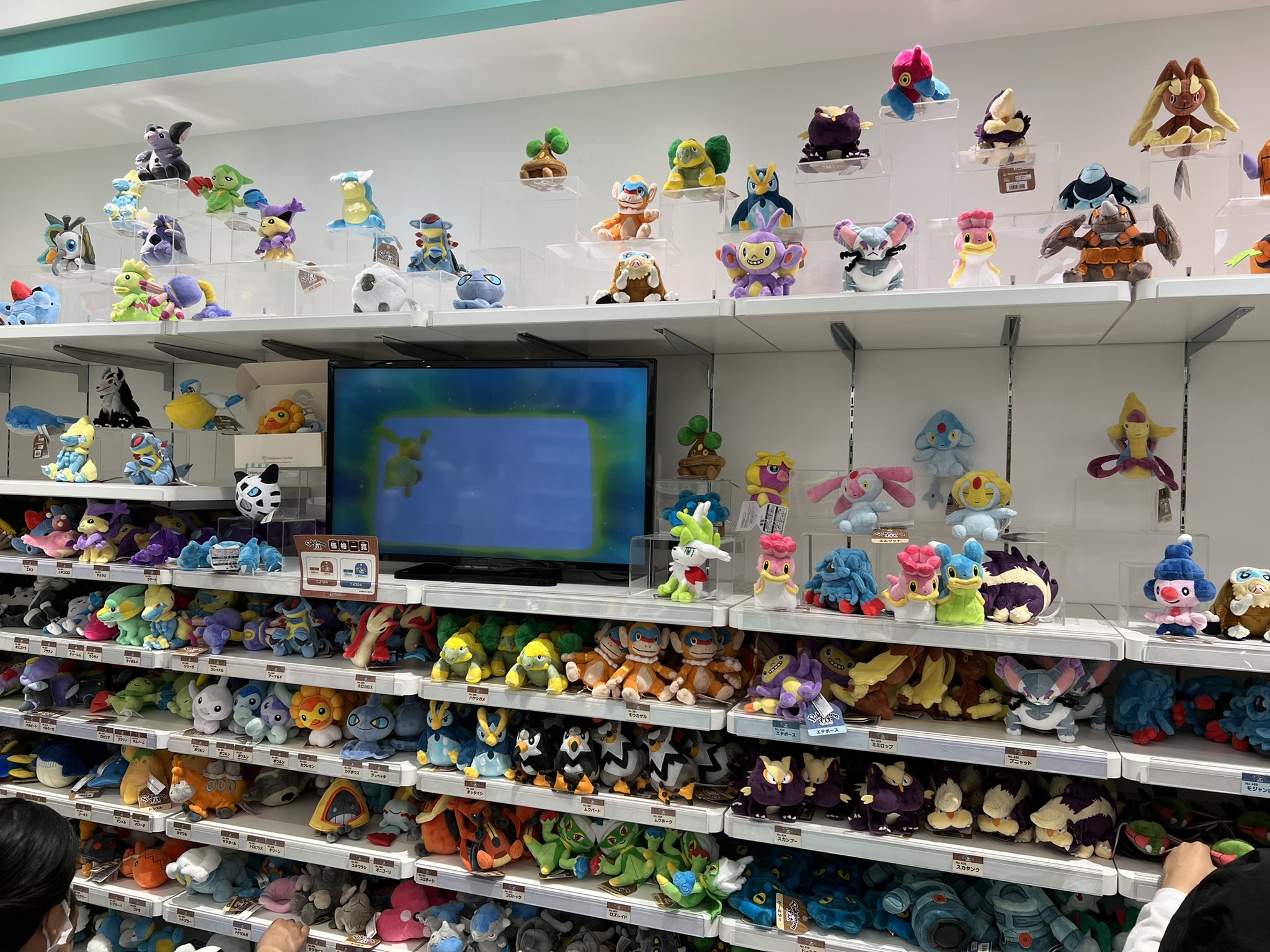 ポケモンセンター Twitter Search Twitter