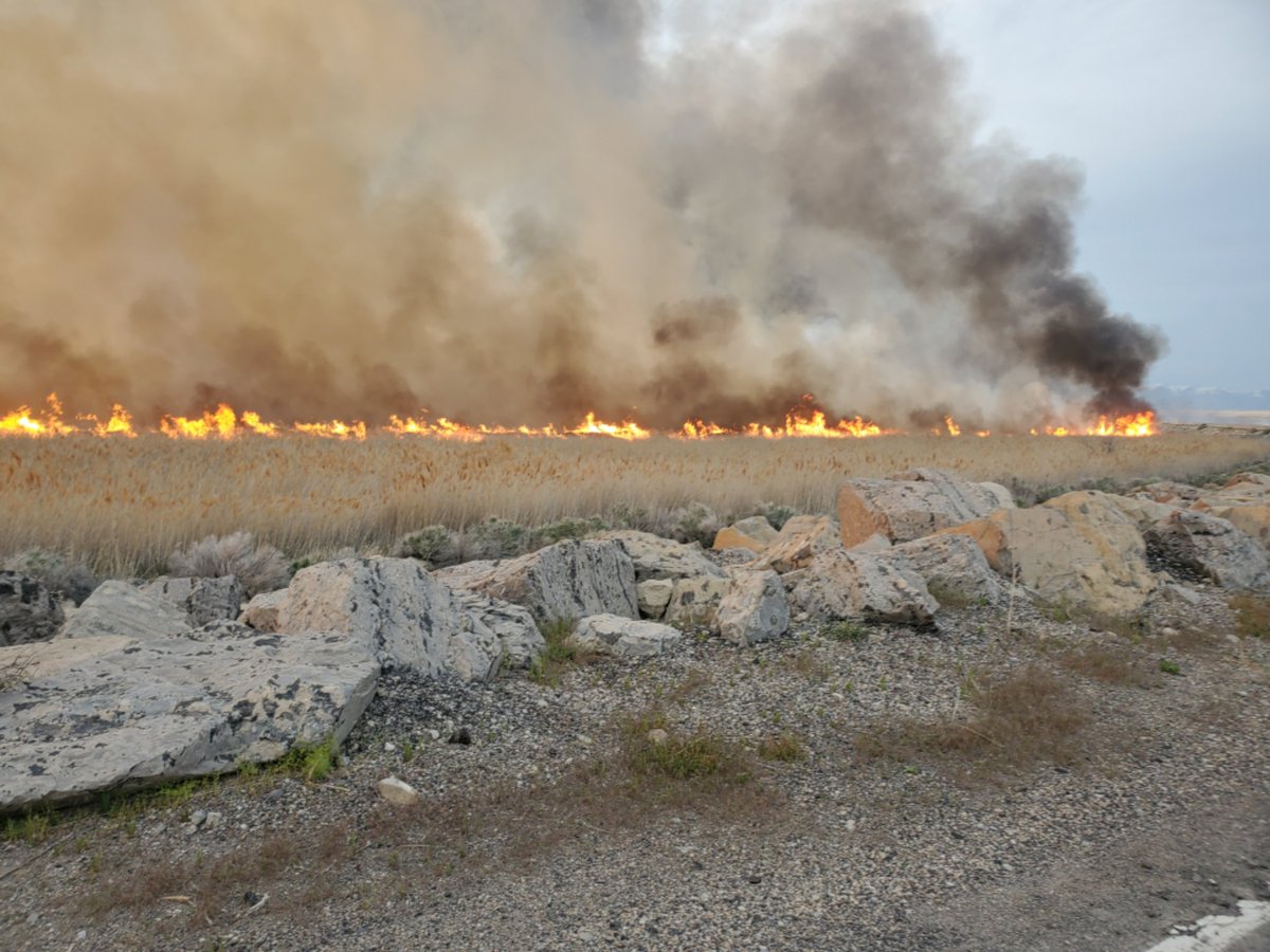 Utah Fire Info tweet media