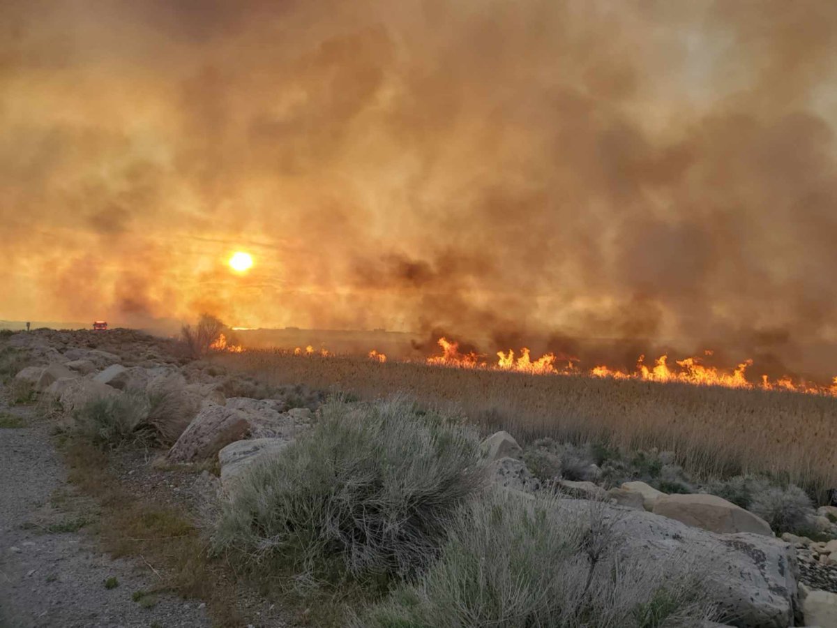 Utah Fire Info tweet media