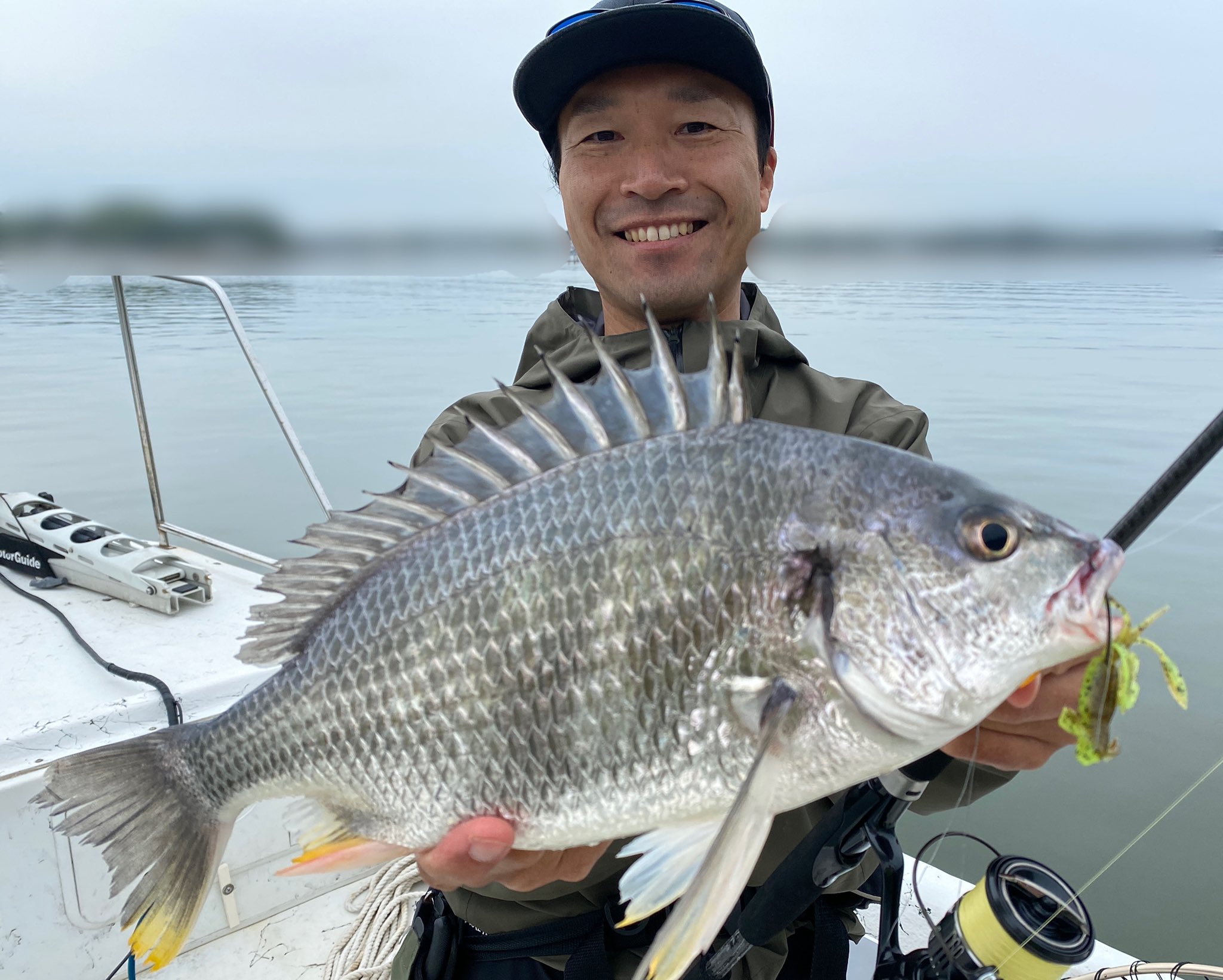 Extreme F G S 4 29浜名湖チニング 雨降る前になんとかキビレ クロダイ1本ずつキャッチ 水温17 度 Rod Soldiro ワインド Model3プロト70ml Reel ヴァンキッシュc3000mhg Line サンライン キャリアハイ6 0 8号 Leader サンライン ブラックストリーム