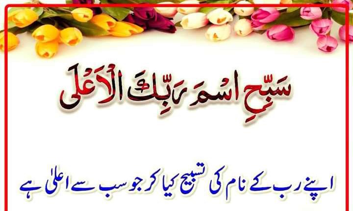 Amal Fatima tweet media